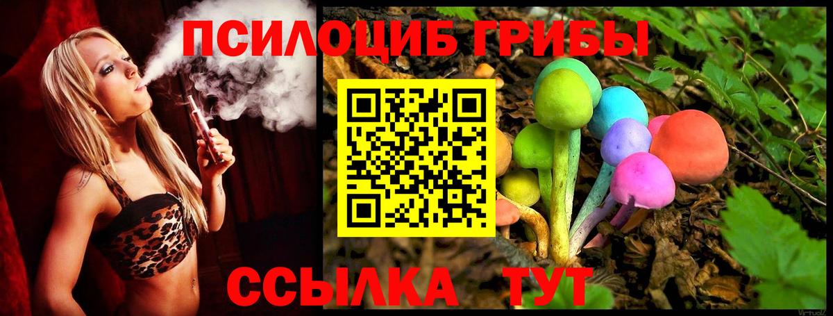 как найти закладки  Галлюциногенные грибы Psilocybine cubensis  Вход с VPN  Галлюциногенные грибы Psilocybine cubensis  Киров 