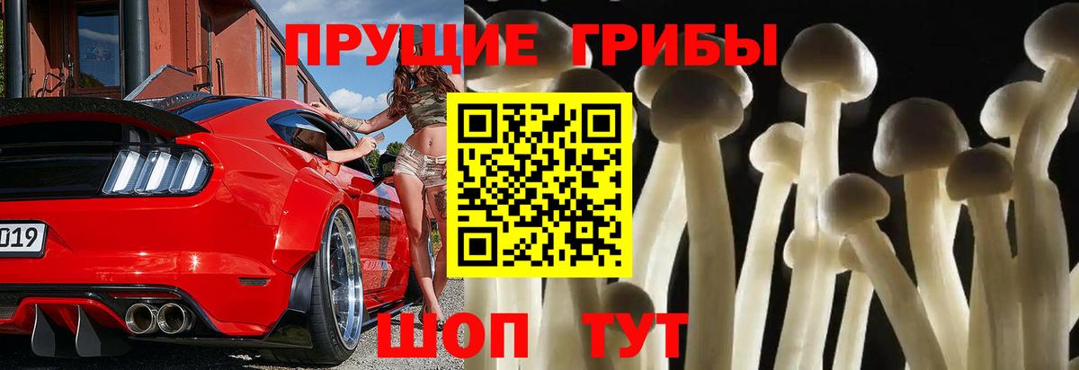 Галлюциногенные грибы Psilocybine cubensis Киров